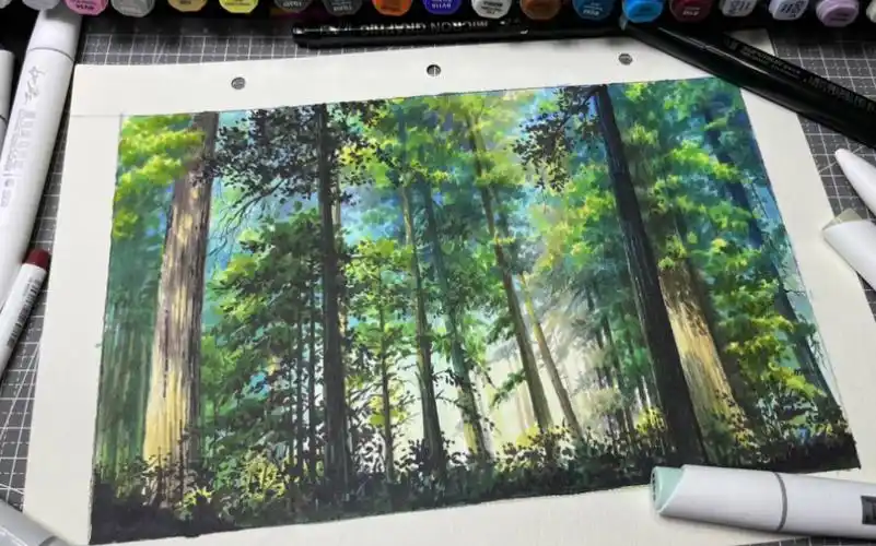 阳光涌入森林,旅行的人请停留片刻-马克笔手绘