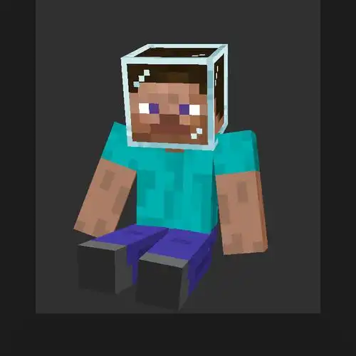 头戴玻璃的史蒂夫 - 皮肤分享 - minecraft(我的世界)苦力怕论坛