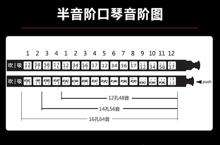 官方自营精选东方鼎东方鼎先行者12孔半音阶口琴成人初学者入门新手无