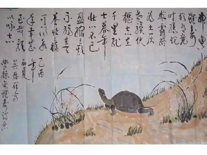 龟虽寿意思( 龟虽寿意思解释 )