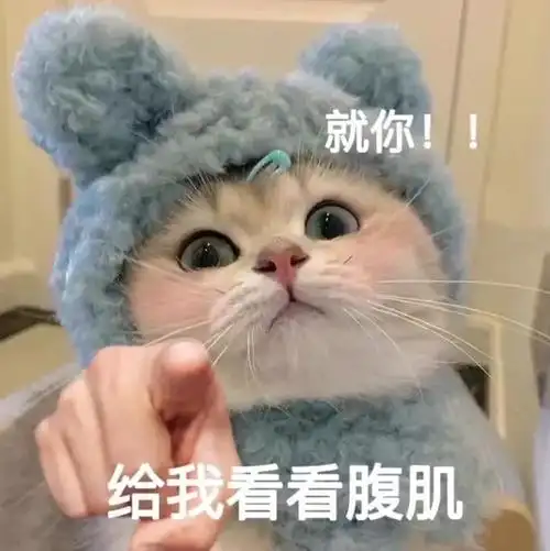 热门表情包原图精选44个表情20220118