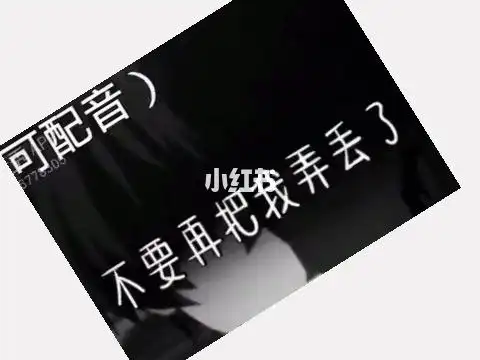 你不要再把我弄丢了