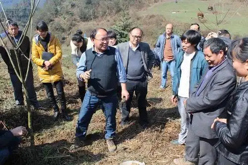 云南省镇雄县木卓乡 镇雄县木卓镇历史人物