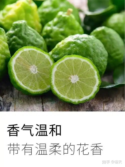 芳香疗法佛手柑精油激励精神放松情绪抗沮丧