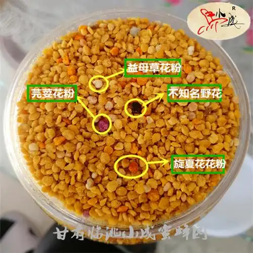 马小成蜂场自产玉米蜂花粉天然正品食用过筛干燥干净不甜未破壁