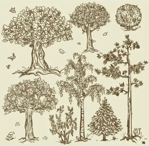 手绘大树