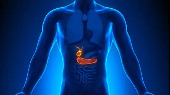 关于胆结石,有这些习惯的人要小心了|胆囊|胆囊结石_网易订阅