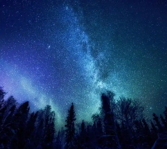 谁有好看的手机酷狗皮肤啊?给我几张