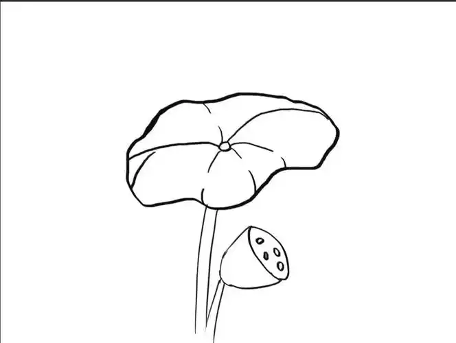 基础荷叶绘画步骤