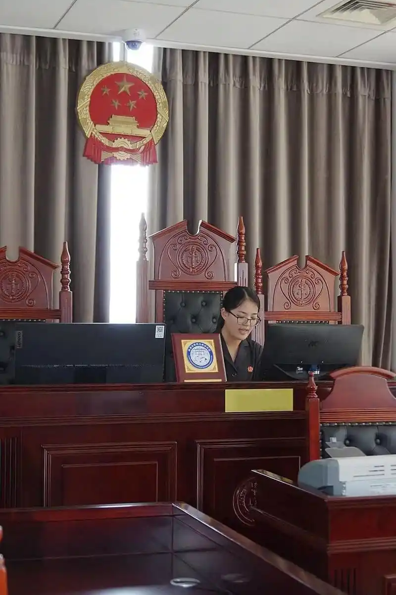 民法典宣讲专辑学生进法庭学习民法典