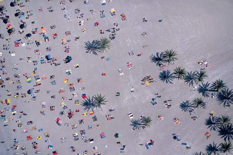 植物,棕榈树,叶子,西班牙,欧洲,阴影,光线,伞,沙子,影子,雨伞,遮阳伞