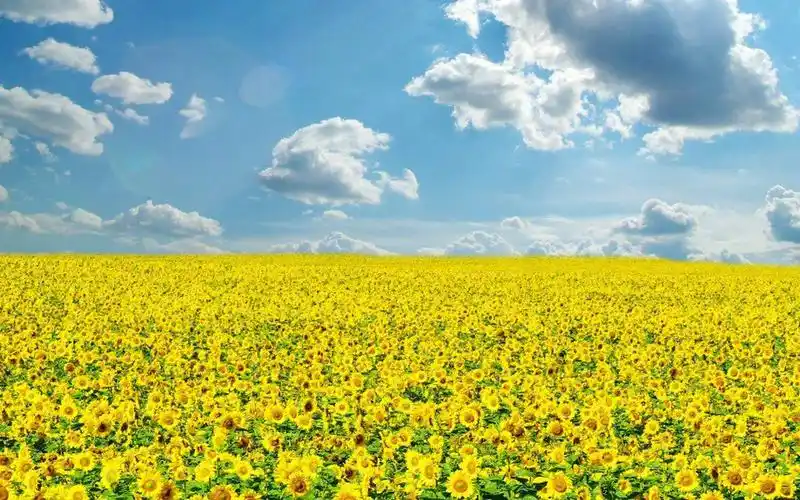 蓝天白云唯美清新图片桌面壁纸