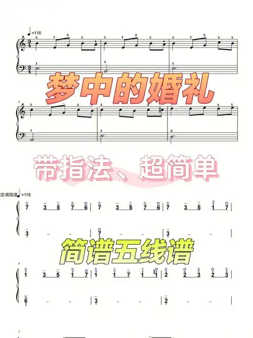初学者梦中的婚礼简谱五线谱带指法