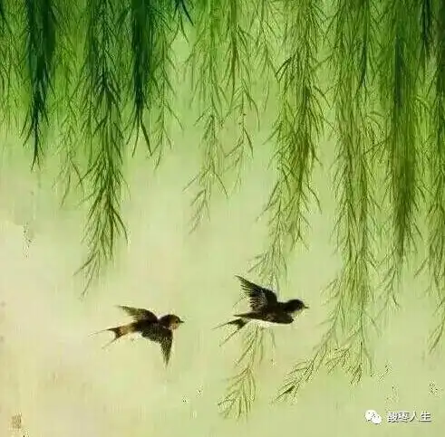 柳条像什么(柳条像什么二年级比喻)