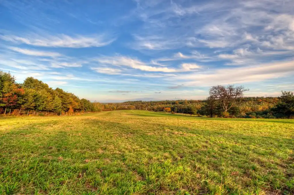宁和,草地,秋天,风景