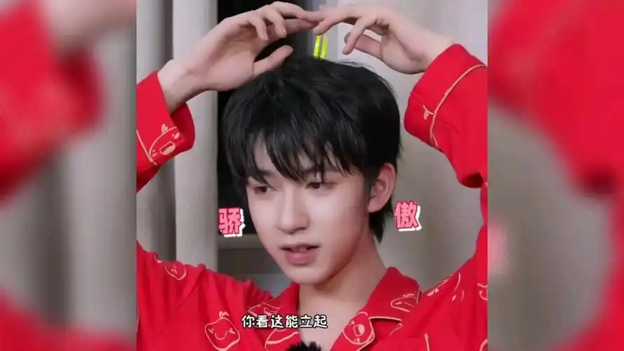 【贺峻霖】世界最可爱猪 猪包!