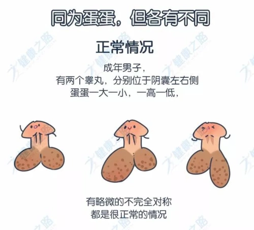 18禁丨听说男生除了比丁丁,还会比谁的蛋大?蛋大了有什么用?