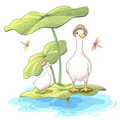 卡通风大暑荷塘上的可爱鸭子插画素材png