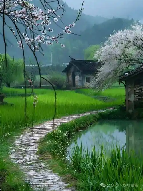 雨后彩虹,空气清新湿润