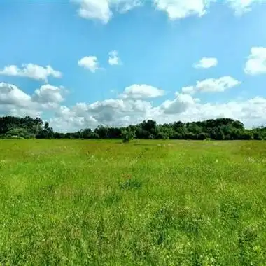 最美草原风景图片头像 风景头像图片大全 -【爱个性】