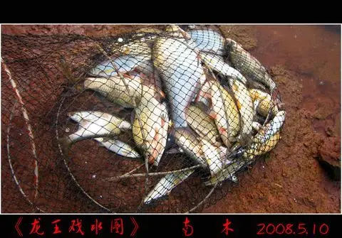 鱼死网破的成语解释