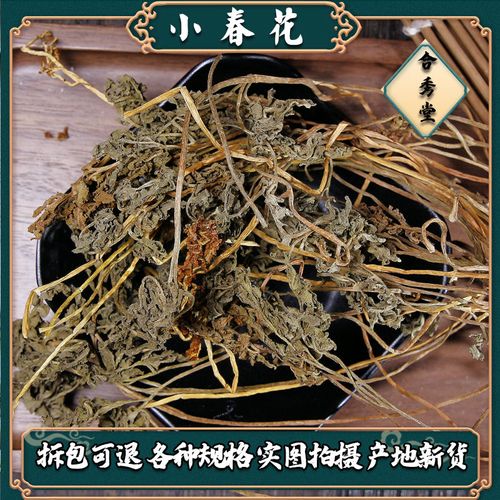 【合秀堂】小春花中药材 一朵云 散血叶 独立金鸡 破天云 阴地蕨