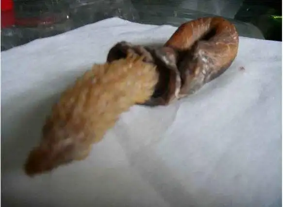 如今去农村铲地皮,好货很难见到,不过乐趣还是挺多的!