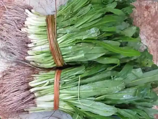 不可忽略傣味中重要的一味香料你们知道吗