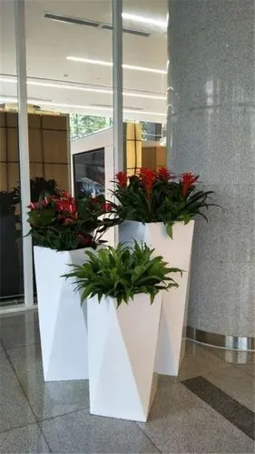 大堂创意盆景