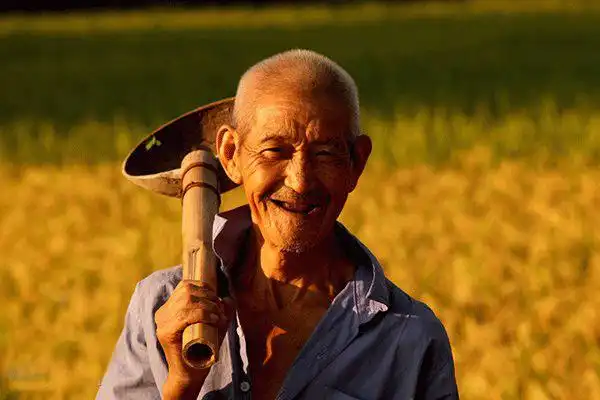 农民种地也是一种职业你是否赞成农民应该有退休工资或养老金