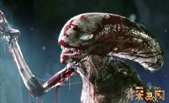 宇宙中最恐怖的生物异形十分血腥从人类肚子破腹而出