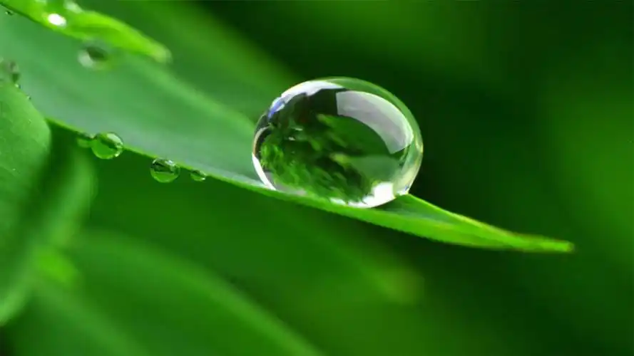 电脑桌面图片唯美(82张护眼电脑桌面壁纸)