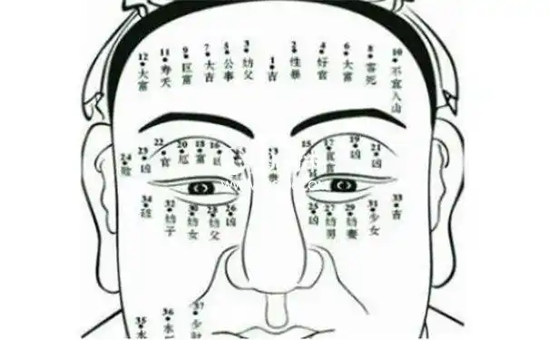 脖子长痣图解分析