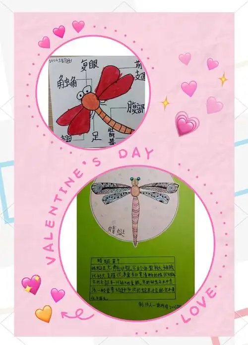 一年级的小朋友们纷纷展示了他们精心制作的昆虫科普卡片