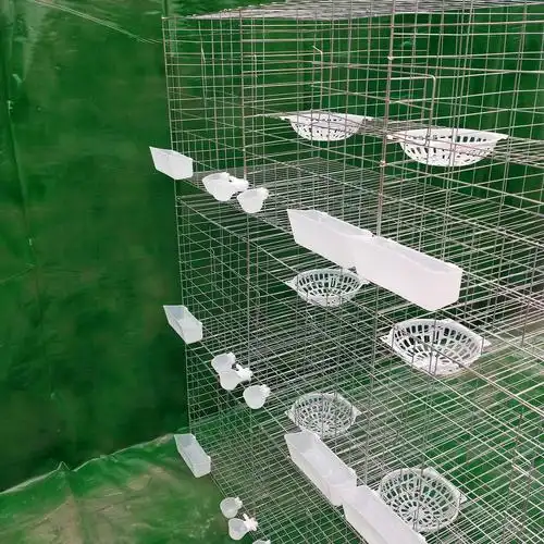 批发加粗鸽笼12位鸽子笼 养殖场笼镀锌防锈鸽笼铁丝网笼子图片