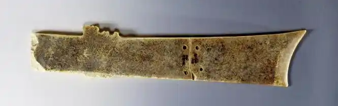 东西问 | 孙扬:如何理解香港与祖国风雨同舟血脉相连的历史?-中新网