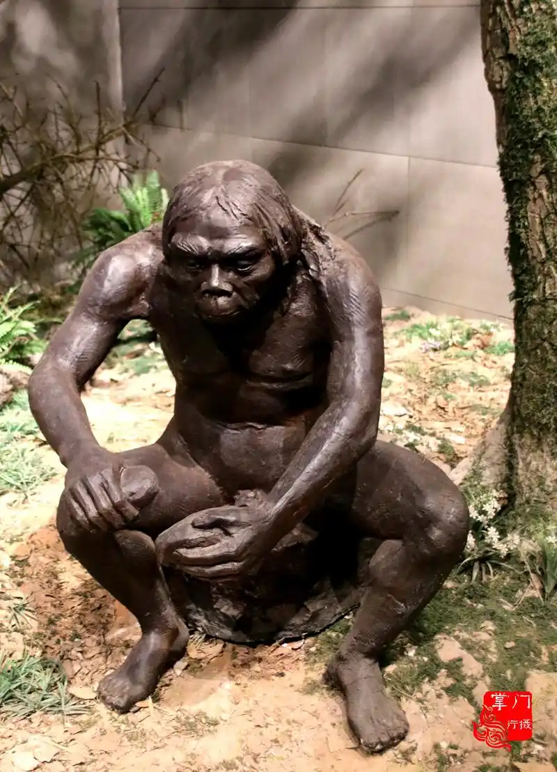 原创参观周口店遗址博物馆秒懂北京猿人新洞人和山顶洞人的区别