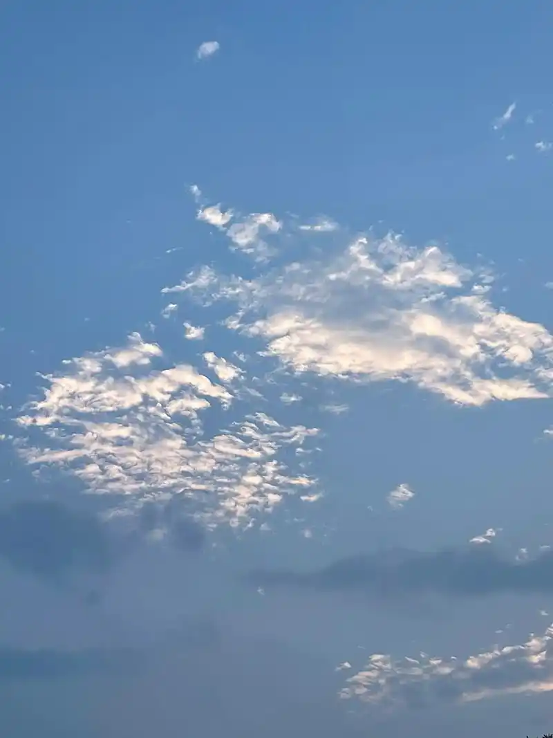 先放两张照片假装自己没吃#吃吃喝 - 抖音