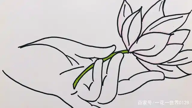 一花一世界,一叶一菩提