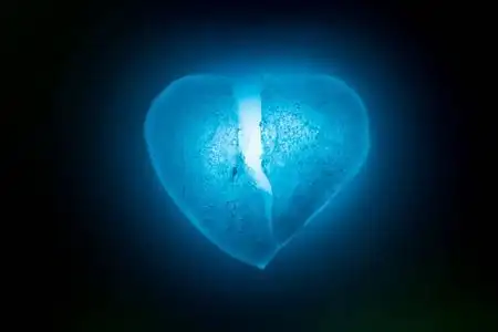 颜色的心爱情符号图片