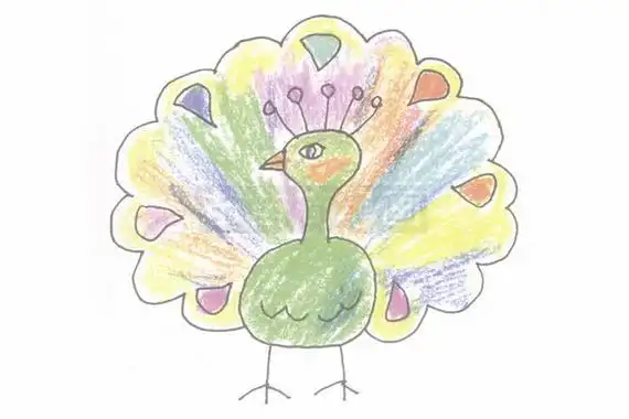 大孔雀蝶图片简笔画 大孔雀蝶图片简笔画简单