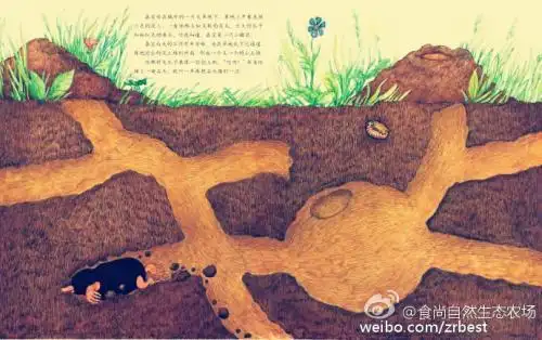 小鼹鼠地洞简笔画