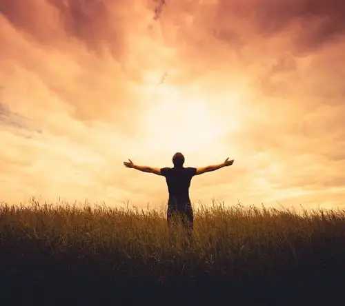 我的心是旷野的鸟,在你的双眼中找到了天空