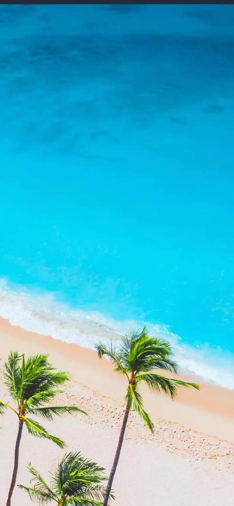 手机壁纸 #高清壁纸 #该换壁纸了 #治 - 抖音