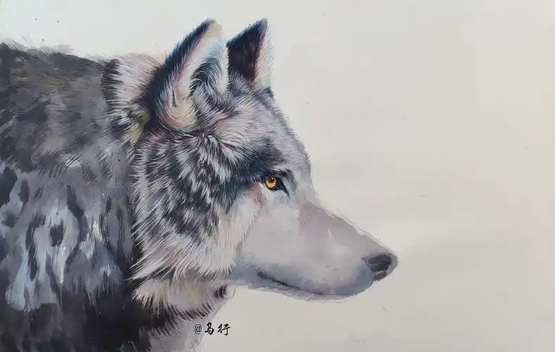 四开获多福,水彩底色,彩铅覆盖,白墨提白,马行画