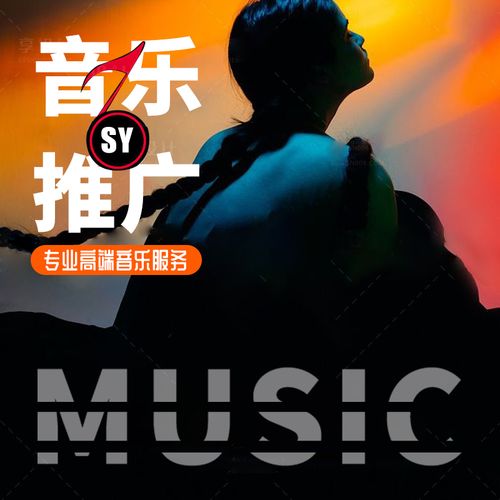 网易云音乐推广qq音乐抖音歌曲宣发原创歌单投放每日推荐飙升榜单