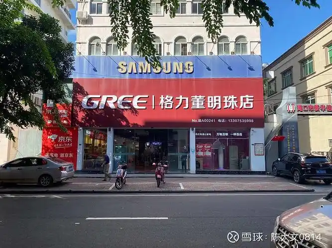 在所在城市看到了格力董明珠店至今没有想通董明珠店和格力专卖店的
