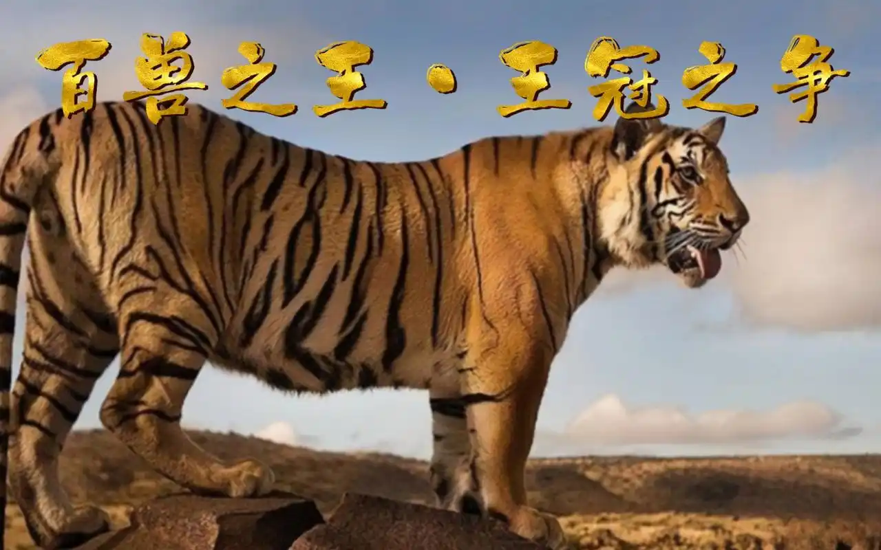 在自然界中,谁才是真正的万兽之王?