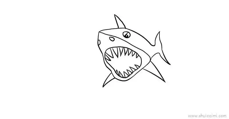 鲨鱼吃大白鲨简笔画画法图解