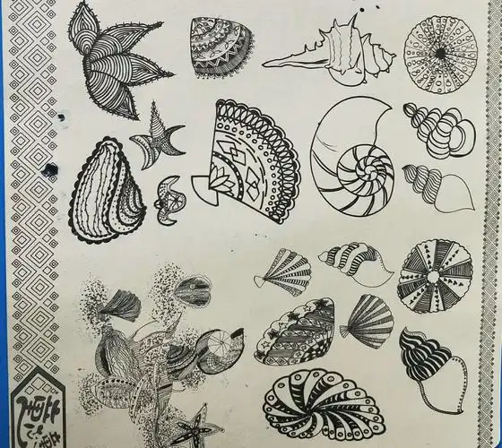 写美篇活动目标: 1,让幼儿尝试用粗细不同的线条装饰贝壳,体现线描